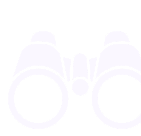 Sightseeing & Transfers